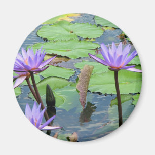 Wasser-Lilien Magnet