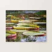 Wasser Lilien. Puzzle (Horizontal)