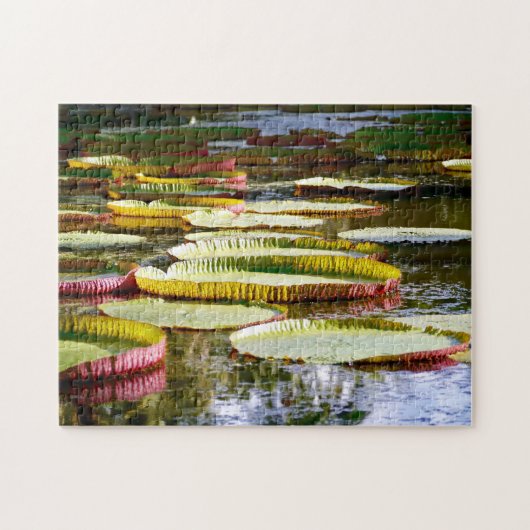 Wasser Lilien. Puzzle (Horizontal)
