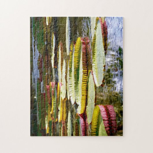 Wasser Lilien. Puzzle (Vertikal)