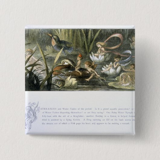 Wasser-Lilien und Wasser-Feen, Illustration von Button (Vorderseite)