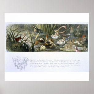 Wasser-Lilien und Wasser-Feen, Illustration von Poster
