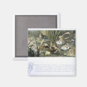 Wasser-Lilien und Wasserpflanzen, Illustration aus Magnet (Vorderseite/Rückseite)