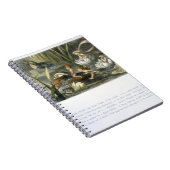 Wasser-Lilien und Wasserpflanzen, Illustration aus Notizblock (Rechte Seite)