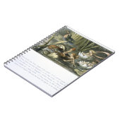 Wasser-Lilien und Wasserpflanzen, Illustration aus Notizblock (Linke Seite)