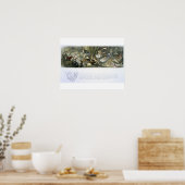 Wasser-Lilien und Wasserpflanzen, Illustration aus Poster (Küche)