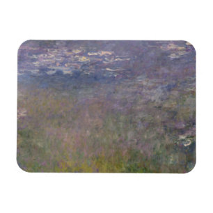 Wasser-LilienAgapanthus Claude Monets   Magnet