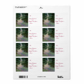 WASSER LILILIT IN PINK GREEN POND VON Claude Monet (Vorne)