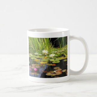 Wasser Lilly Blumen Kaffeetasse
