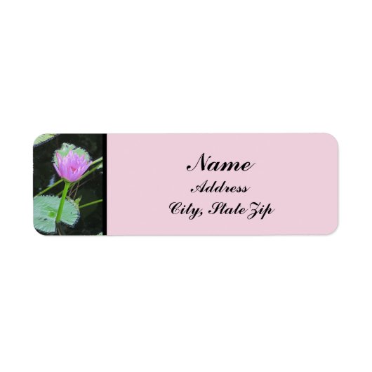 Wasser Lily Foto Schönes rosa Lila Blut (Vorne)