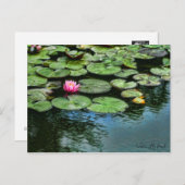 Wasser-Lily-Teich:Postkarte Postkarte (Vorne/Hinten)