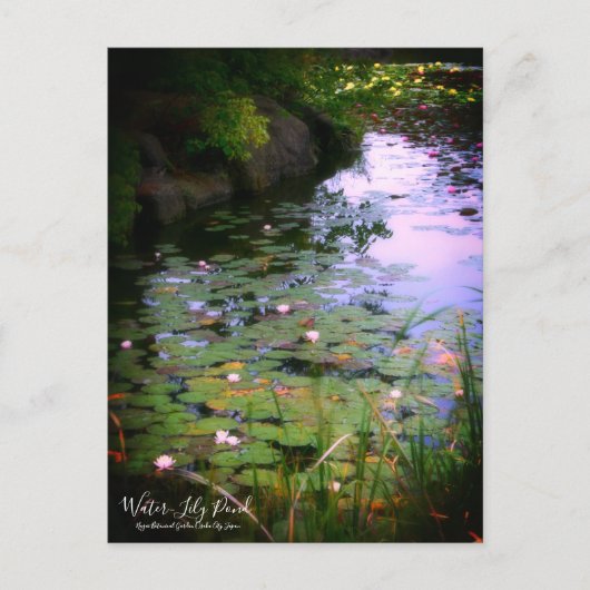 Wasser-Lily-Teich:Postkarte Postkarte (Vorderseite)