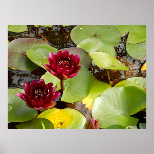 Wasser-Lippen-Poster Poster (Vorne)