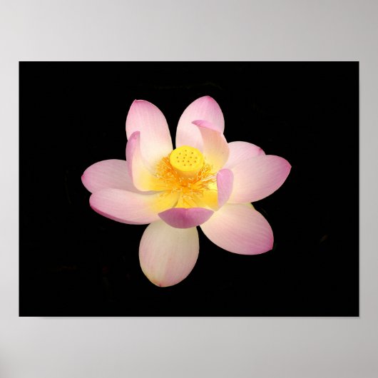 Wasser-Lippen-Poster Poster (Vorne)