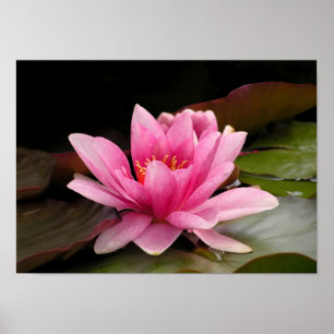 Wasser-Lippen-Poster Poster