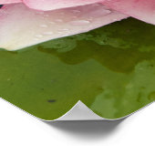 Wasser-Lippen-Poster Poster (Ecke)