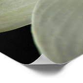 Wasser-Lippen-Poster Poster (Ecke)