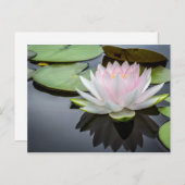 Wasser Lippenrosa Foto Postkarte (Vorne/Hinten)