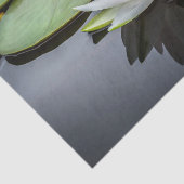 Wasser Lippenrosa Foto Seidenpapier (Ausschnitt)