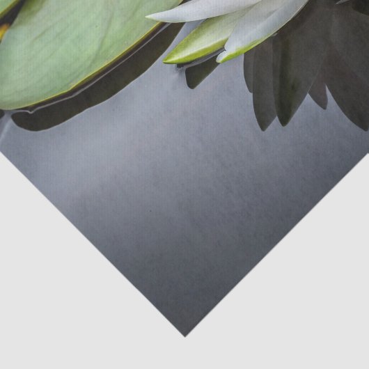 Wasser Lippenrosa Foto Seidenpapier (Ausschnitt)