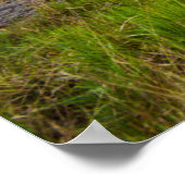 Wasser | Lücke von Dunloe Landkreis Kerry Irland Poster (Ecke)