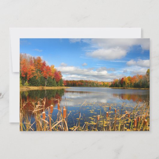 Wasser | Mabel Lake Canada Dankeskarte (Vorderseite)