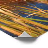 Wasser | Mabel Lake Canada Poster (Ecke)