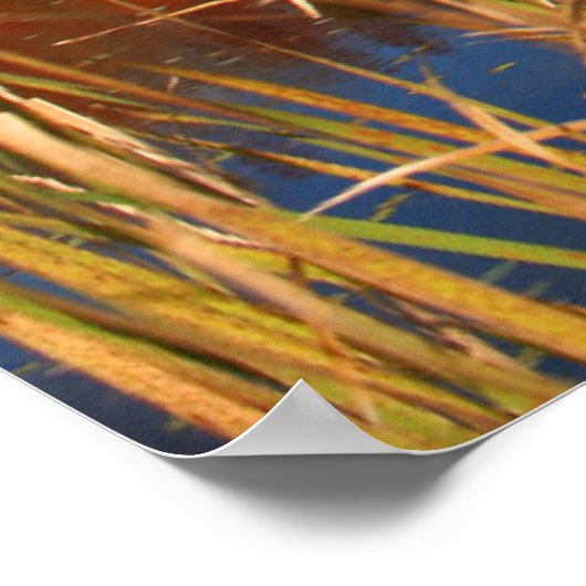 Wasser | Mabel Lake Canada Poster (Ecke)