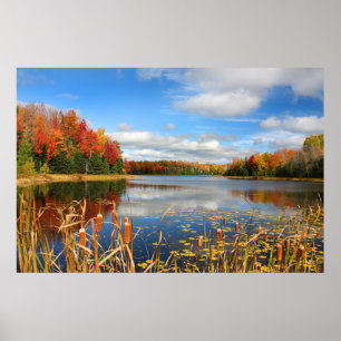 Wasser   Mabel Lake Canada Poster