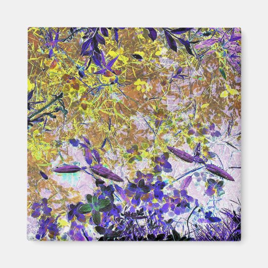 WASSER MAGNET (Vorne)