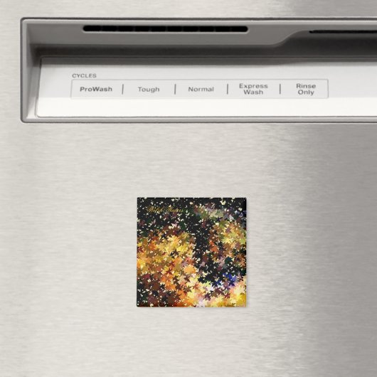 WASSER MAGNET (In Situ (Geschirrspüler))