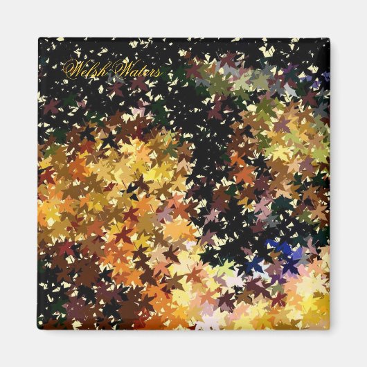 WASSER MAGNET (Vorne)