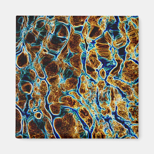 WASSER MAGNET (Vorne)