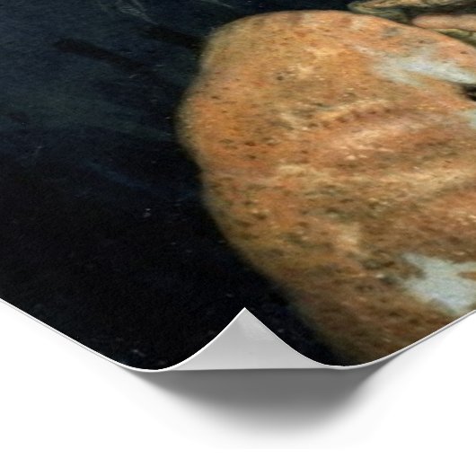 Wasser (Öl auf Leinwand), Arcimboldo, Giuseppe Poster (Ecke)