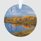 Wasser | Oxbow Bend Jackson Wyoming Ornament (Vorderseite)