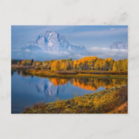 Wasser | Oxbow Bend Jackson Wyoming