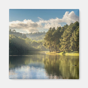 Wasser Pang Oung Lake & Pine Forest Thailand Magnet