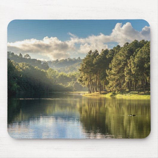 Wasser | Pang Oung Lake & Pine Forest Thailand Mousepad (Vorne)