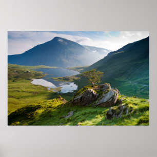 Wasser   Pen yr Ole Wen Lake Idwal Snowdonia Park Poster