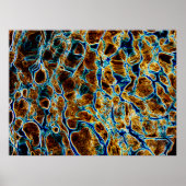 WASSER POSTER (Vorne)