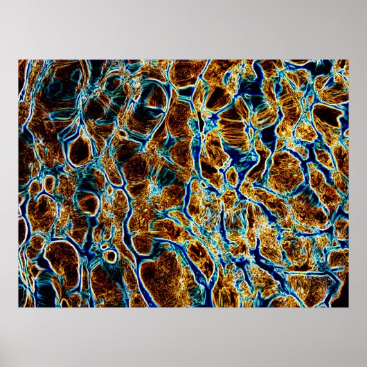 WASSER POSTER (Vorne)