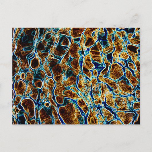 WASSER POSTKARTE (Vorderseite)