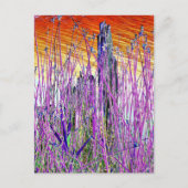 WASSER POSTKARTE (Vorderseite)