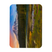 Wasser | Rainier National Park, Washington Magnet (Vertikal)