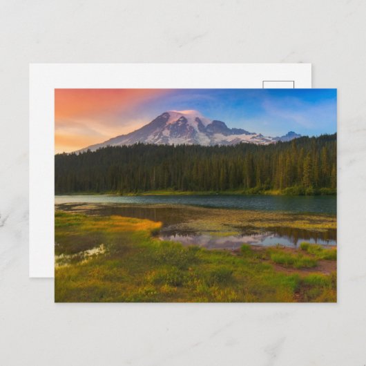 Wasser | Rainier National Park, Washington Postkarte (Vorne/Hinten)