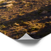Wasser | Rhodope Mountains, Bulgarien Poster (Ecke)
