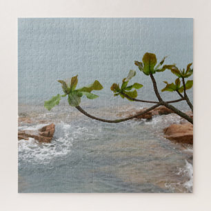 Wasser, Romantik, Landschaft, Pflanze, Wasserfall, Puzzle
