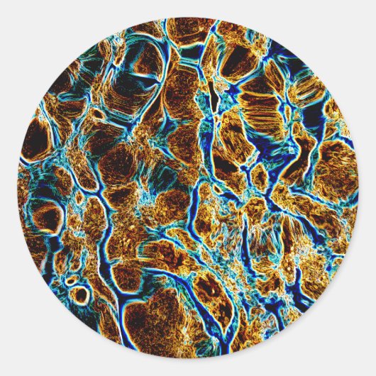 WASSER RUNDER AUFKLEBER (Vorderseite)