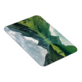 Wasser | Schweizer Alpen Magnet (Rechte Seite)