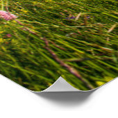 Wasser | Schweizer Alpenwanderweg Poster (Ecke)